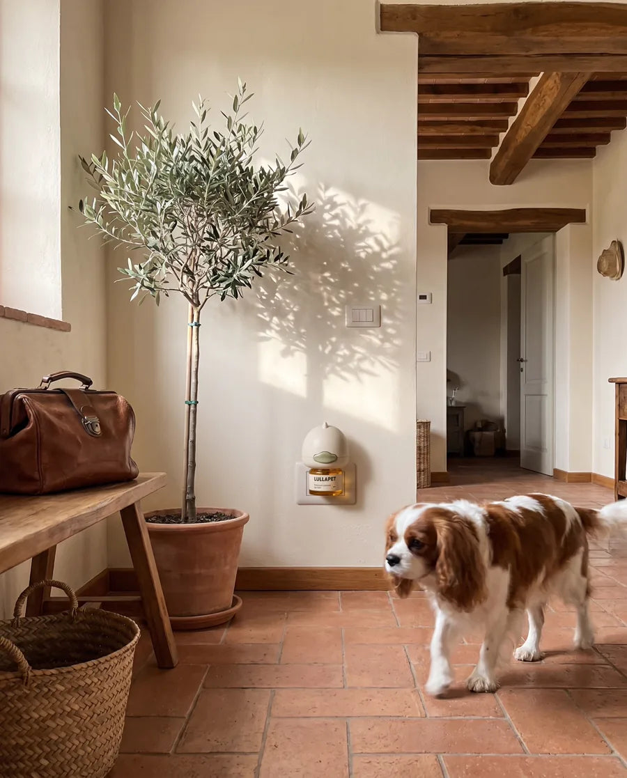 Diffusore Lullapet inserito nella presa dell'ingresso mentre il cane cammina sereno sul pavimento in cotto