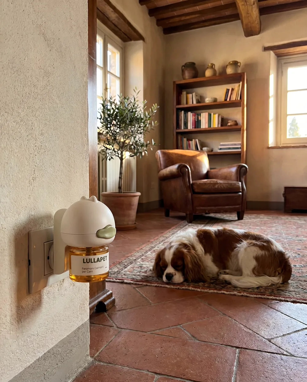 Diffusore Lullapet in un salotto italiano con Cavalier King che riposa tranquillo sul tappeto