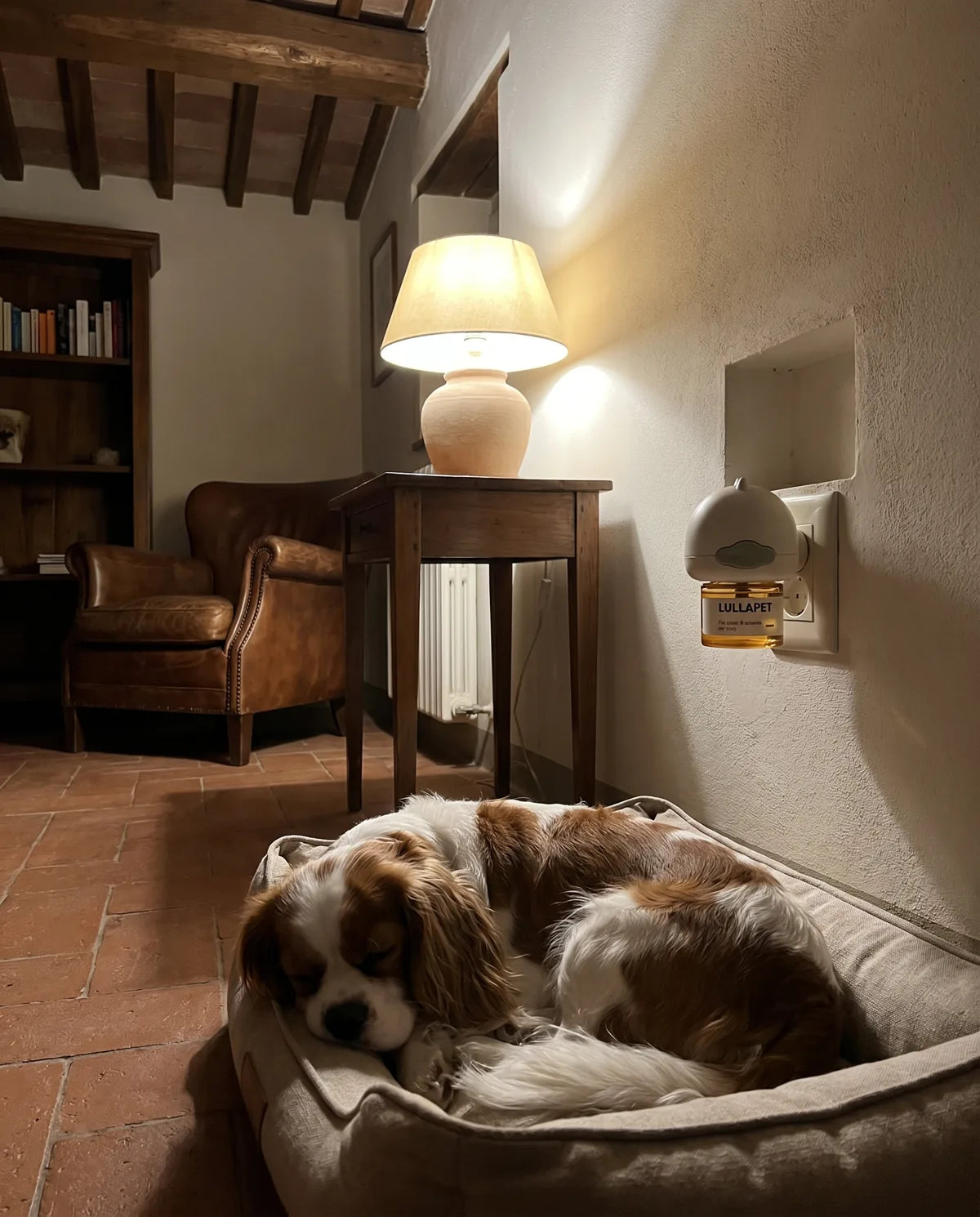 Due Cavalier King che dormono sereni nella cuccia di notte, con il diffusore Lullapet acceso nella presa